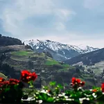 Bernkogel Penthouse * Rauris