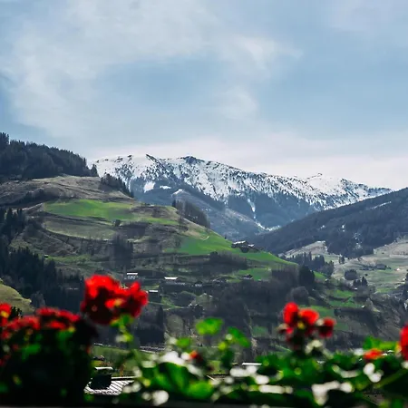 Bernkogel Penthouse 아파트