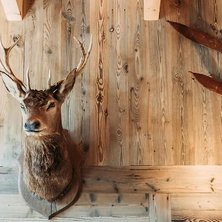 Bernkogel Penthouse * Rauris